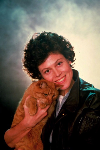 Illustration for article titled What Is Jones the Cat Thinking in These Incredible Aliens Promo Photos?